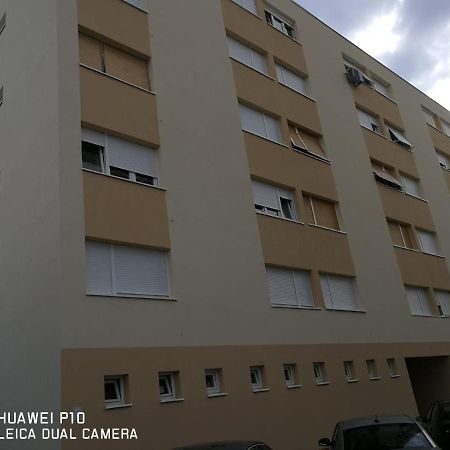 Apartment Mihaela Ζαντάρ Εξωτερικό φωτογραφία