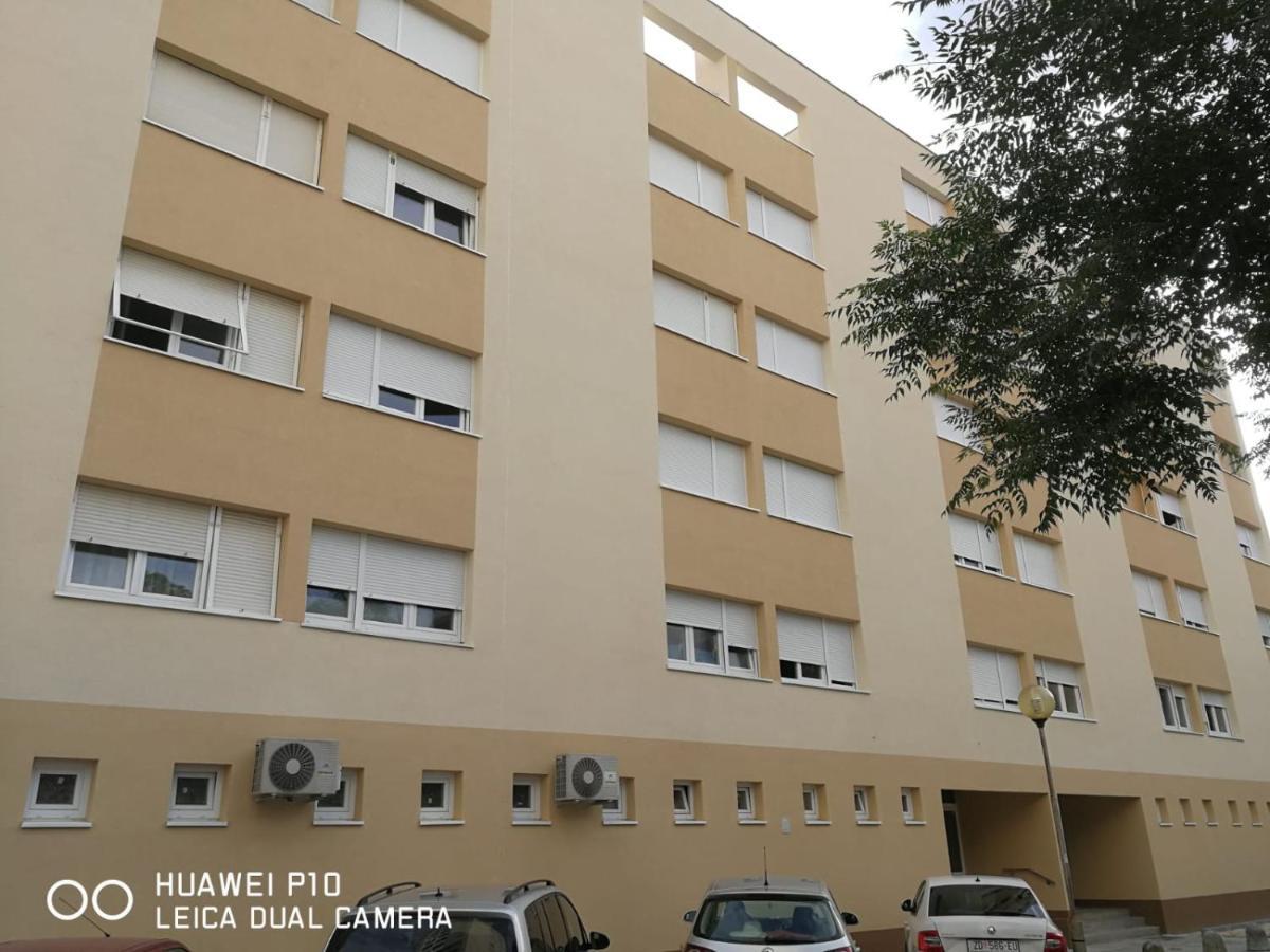 Apartment Mihaela Ζαντάρ Εξωτερικό φωτογραφία