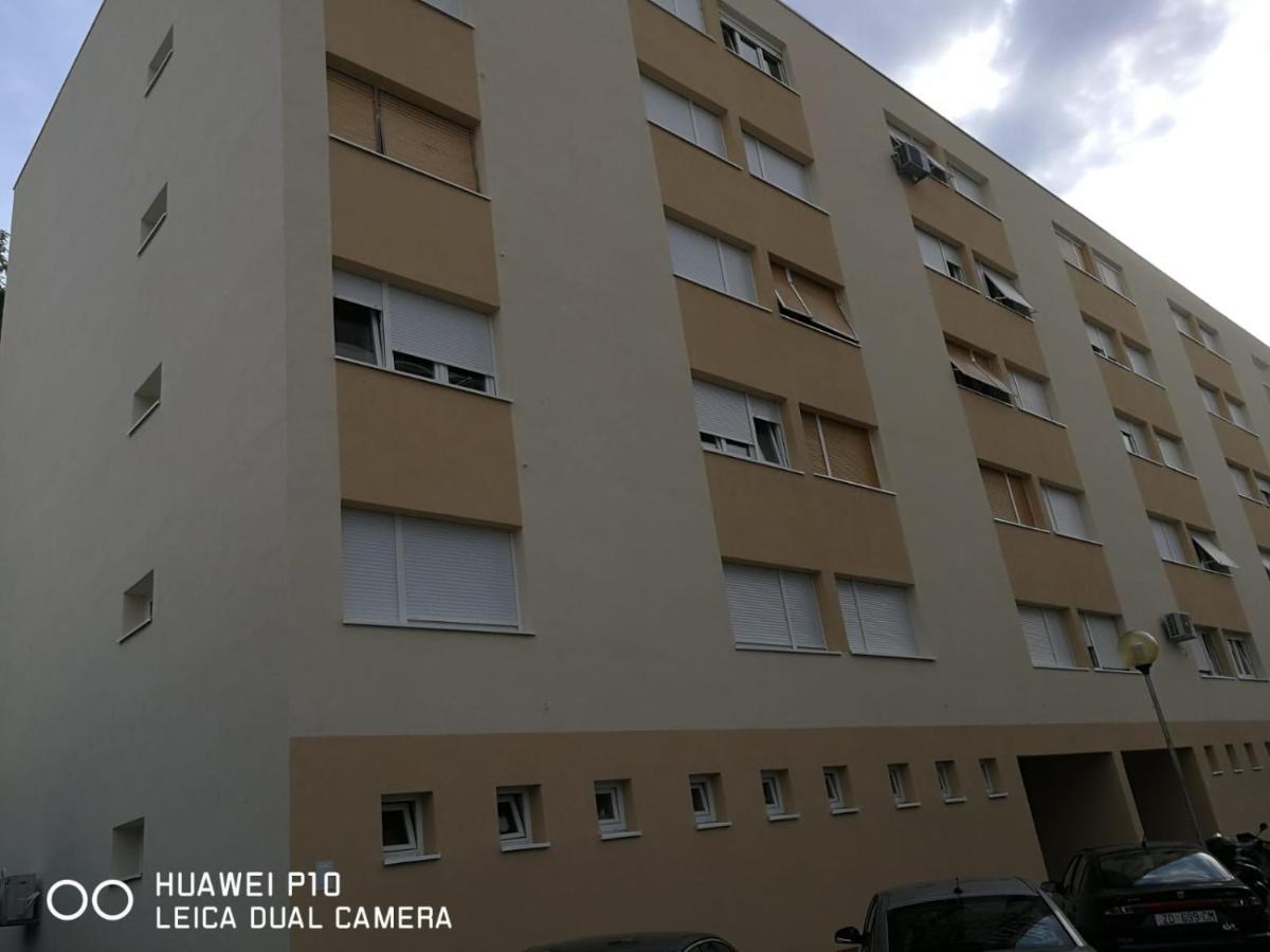Apartment Mihaela Ζαντάρ Εξωτερικό φωτογραφία