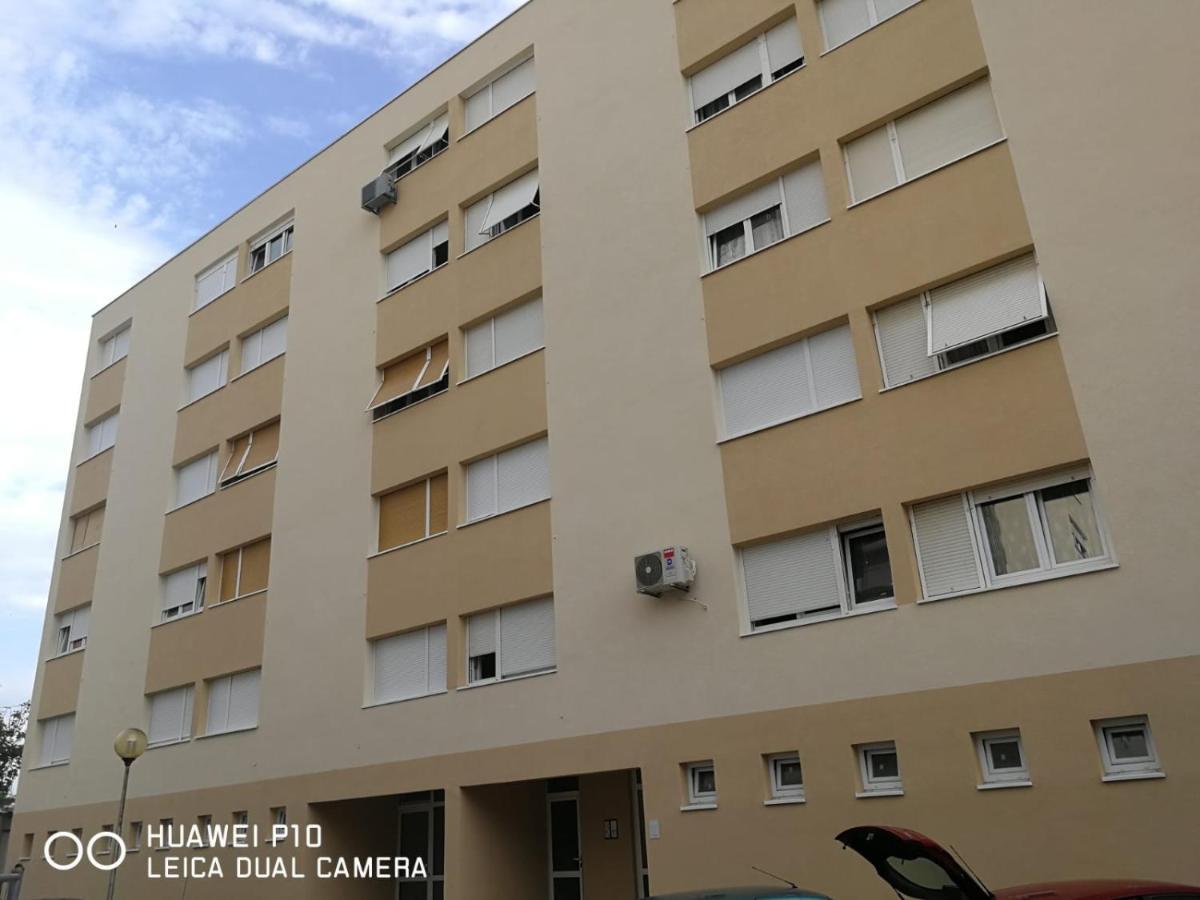 Apartment Mihaela Ζαντάρ Εξωτερικό φωτογραφία